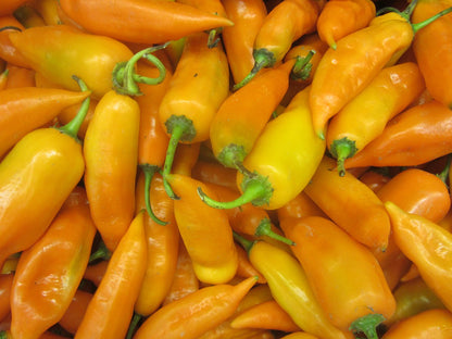 Aji amarillo entero en salmuera 20 oz